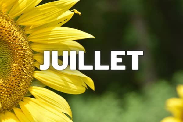 Bannière Commune de Tillenay