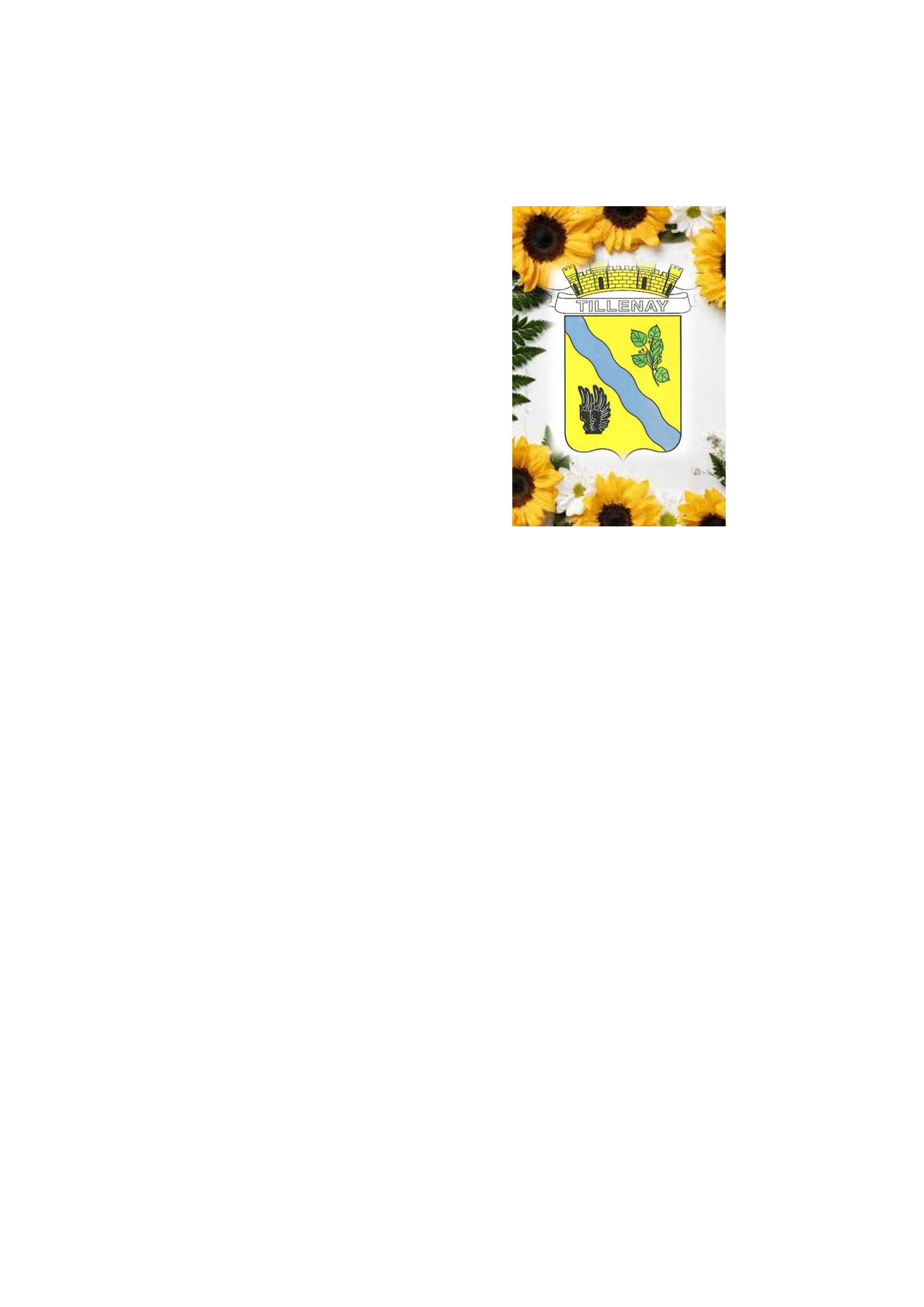 Logo Commune de Tillenay