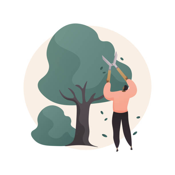 arbre homme taille